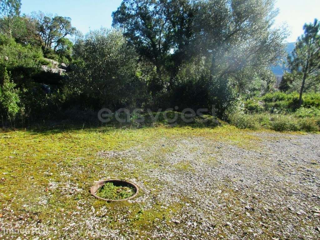 Terreno Urbano de 3244m² em Mira de Aire - Uma excelente opção para... - Grande imagem: 5/18