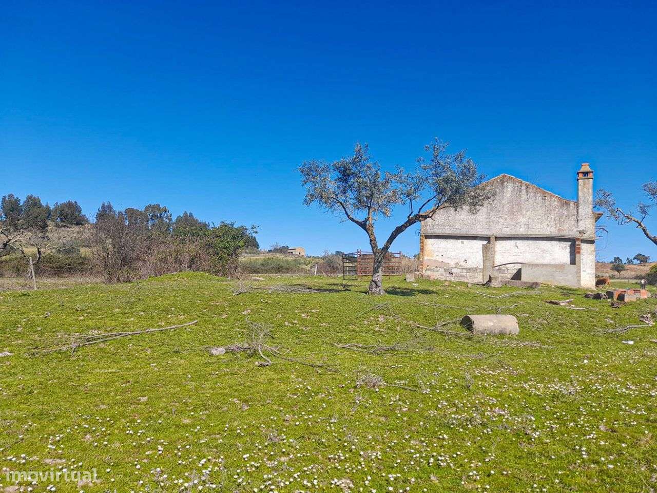 Quinta - Grande imagem: 2/10