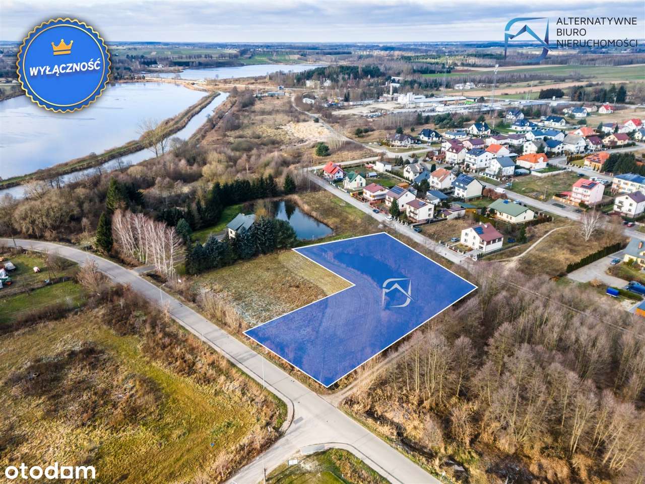 Działka budowlano-usługowa ze stawem - Kock - Pełny obrazek: 4/15