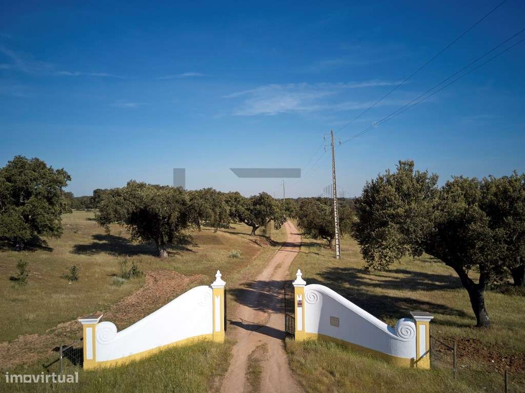 Herdade de Luxo com Piscina para Venda em Monforte, Portalegre - Mais