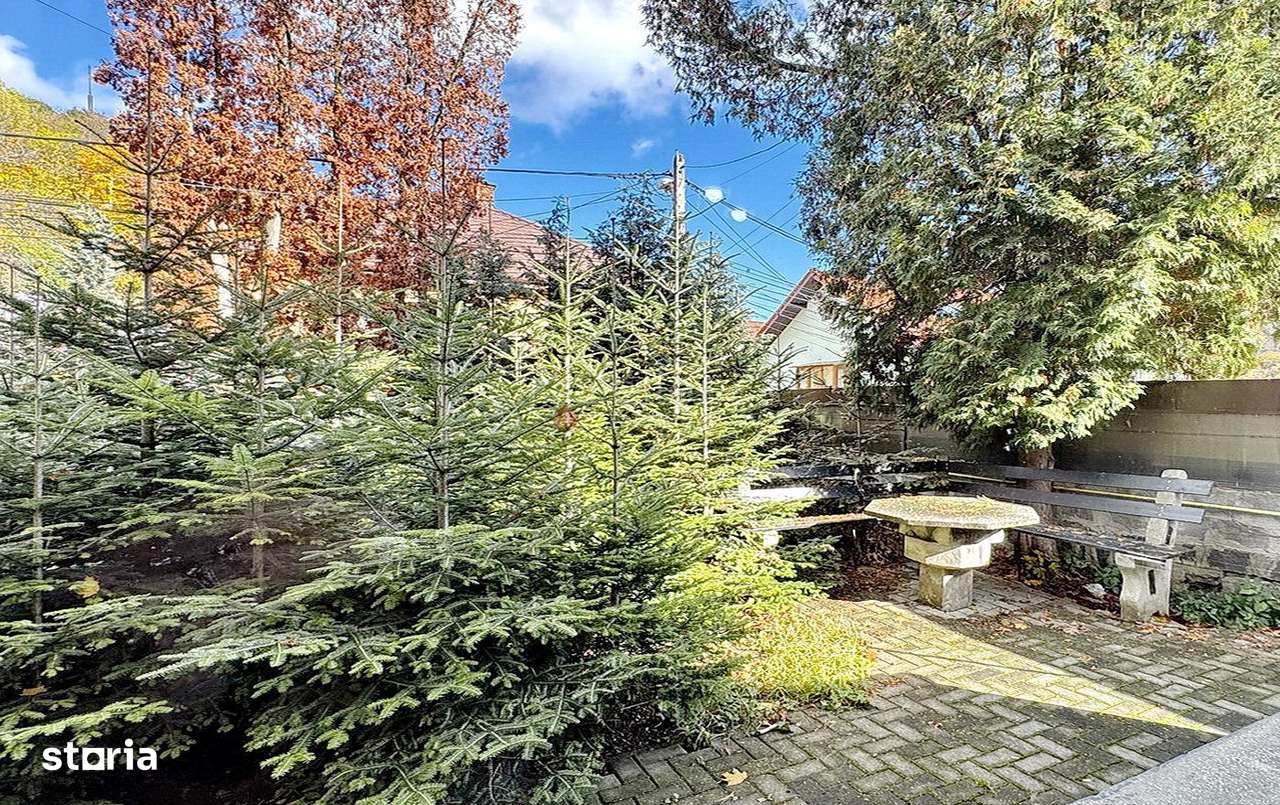 Zona Ultracentrala | Suprafata Generoasa - Imagine principală: 4/20