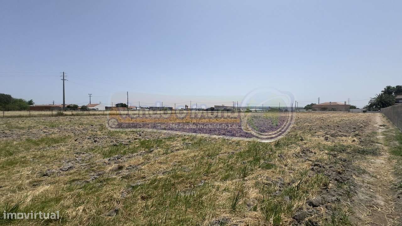 Terreno no Porto Alto (PALT365) - Grande imagem: 5/12