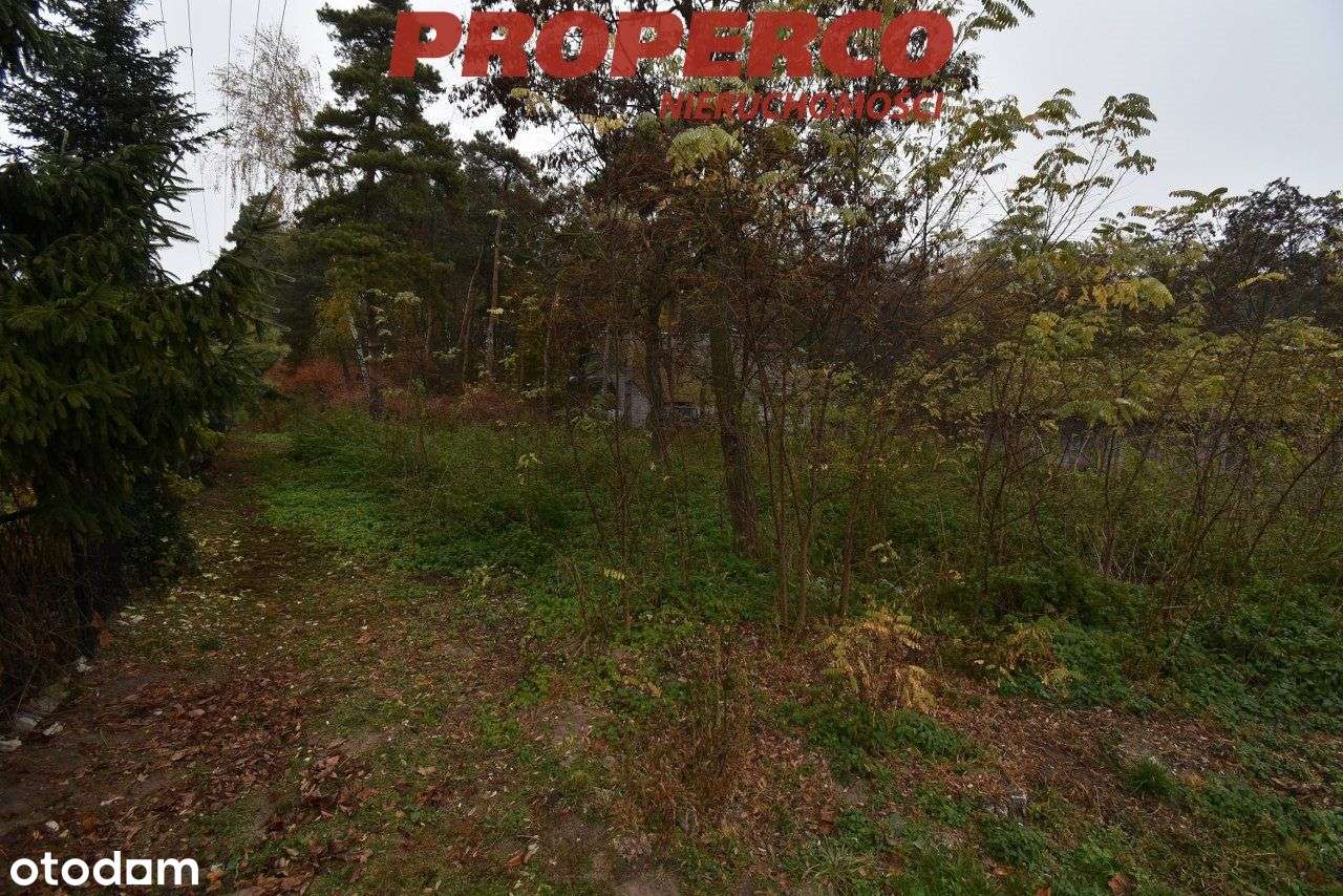 Działka 2469 m2, Konary, gm. Stopnica - Pełny obrazek: 4/4