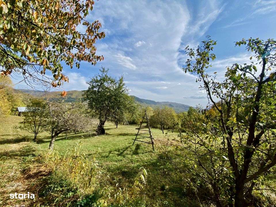 Teren retras panoramic Valea Doftanei 1350 mp panta lina, cu utilitati-2