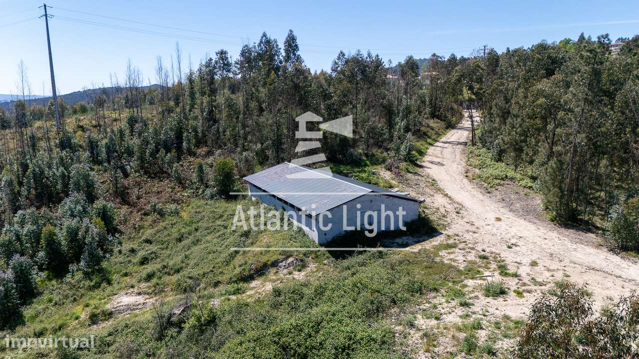 Quinta com 33 Hectares e acesso a Rio - Marco de Canavezes, Porto-8