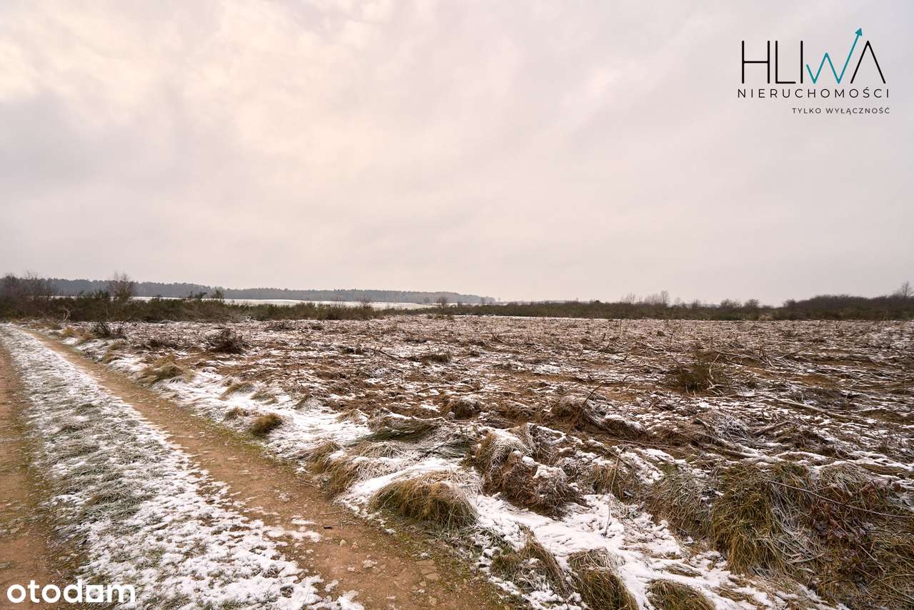 Działka zagrodowa Mierzyno gm. Gniewino 3011 m2-17