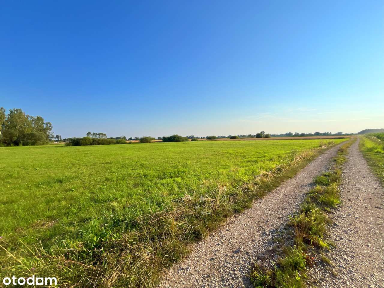 Żabiec - działka z możliwością zabudowy-4