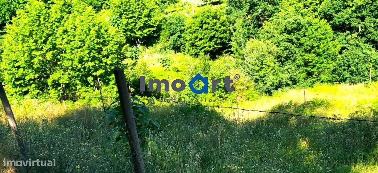 Terreno agrícola, com possibilidade de construção de moradia! - Grande imagem: 4/21