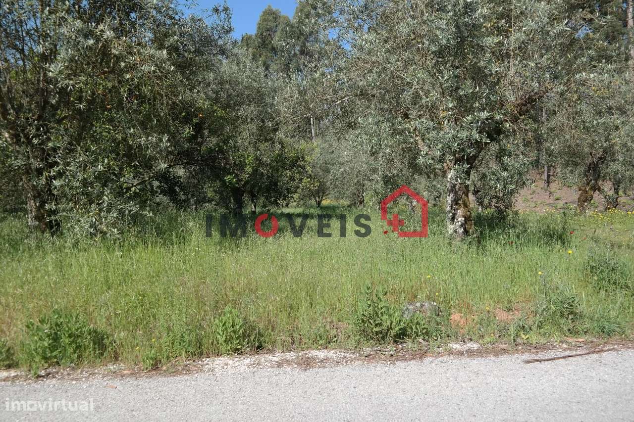 Terreno - Grande imagem: 1/3