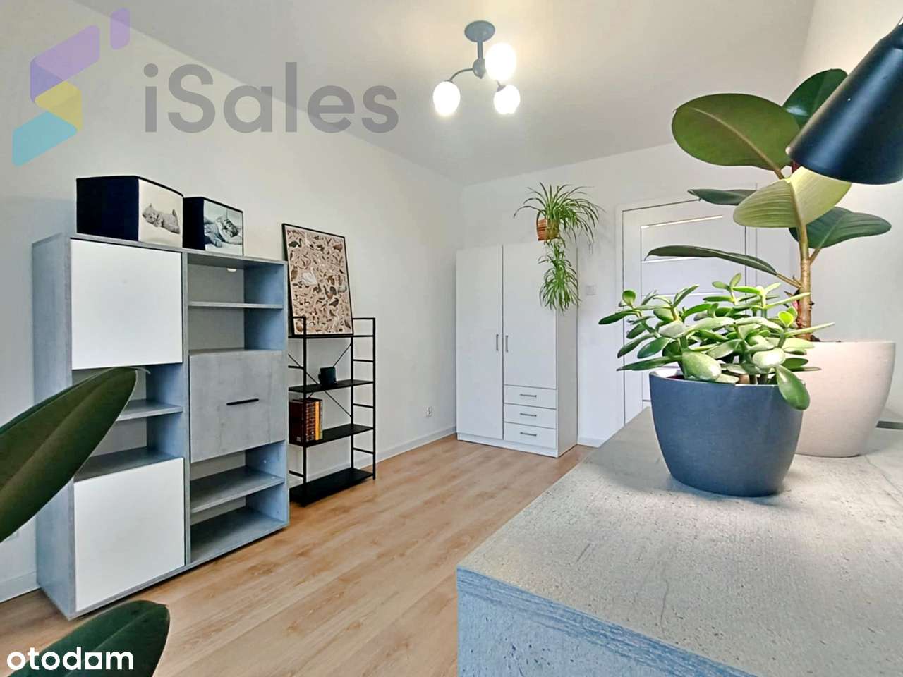 3 POKOJE | Do zamieszkania | BALKON | Bez prowizji-6