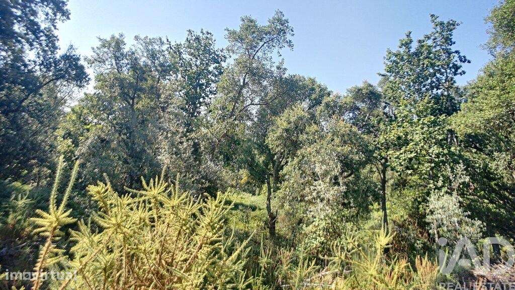 Casa de Campo em Pedrógão Grande de 91,00 m2 - Grande imagem: 3/12