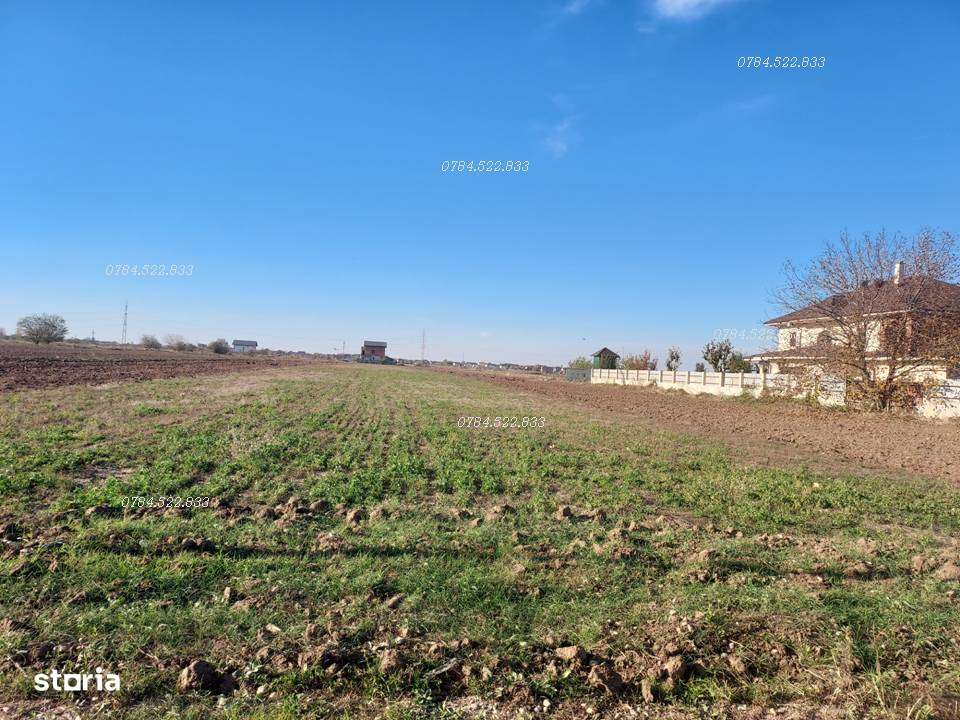 Lot 482 mp Berceni, Ilfov – teren intravilan de vânzare, utilități-1