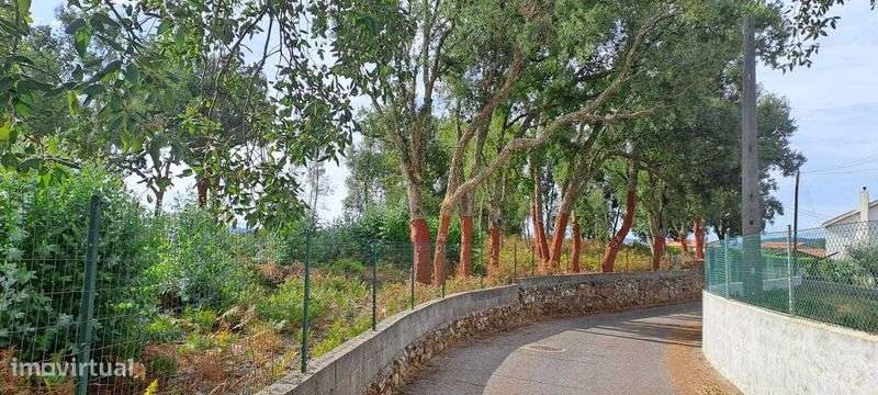 Quinta com 10 hectares, Cernache do Bonjardim, no Centro de Portugal. - Grande imagem: 4/12
