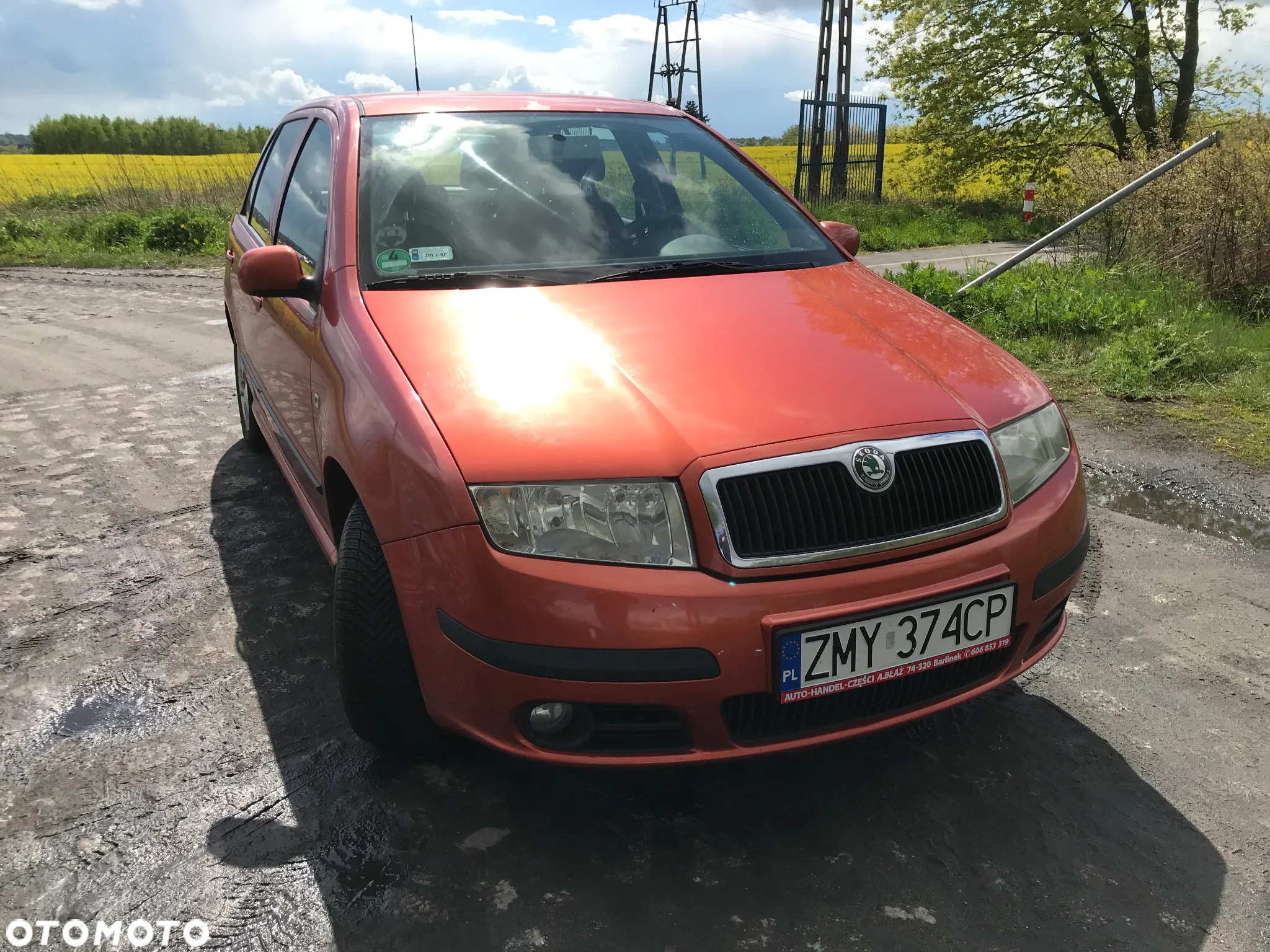 Skoda Fabia 1.4 TDI Classic - 19