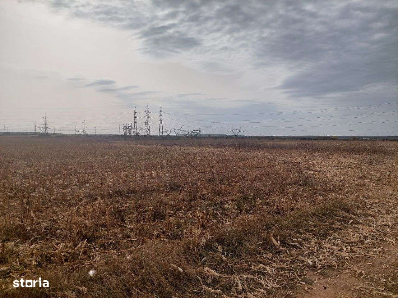 Teren dezvoltare rezidentiala / industriala - Dumbrava - comision 0%!-6