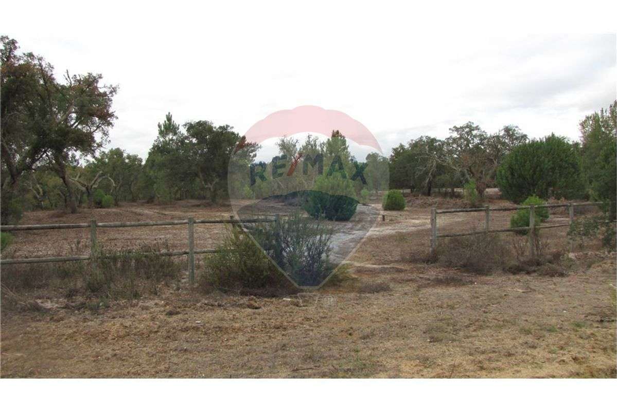 Terreno  para venda - Grande imagem: 5/17