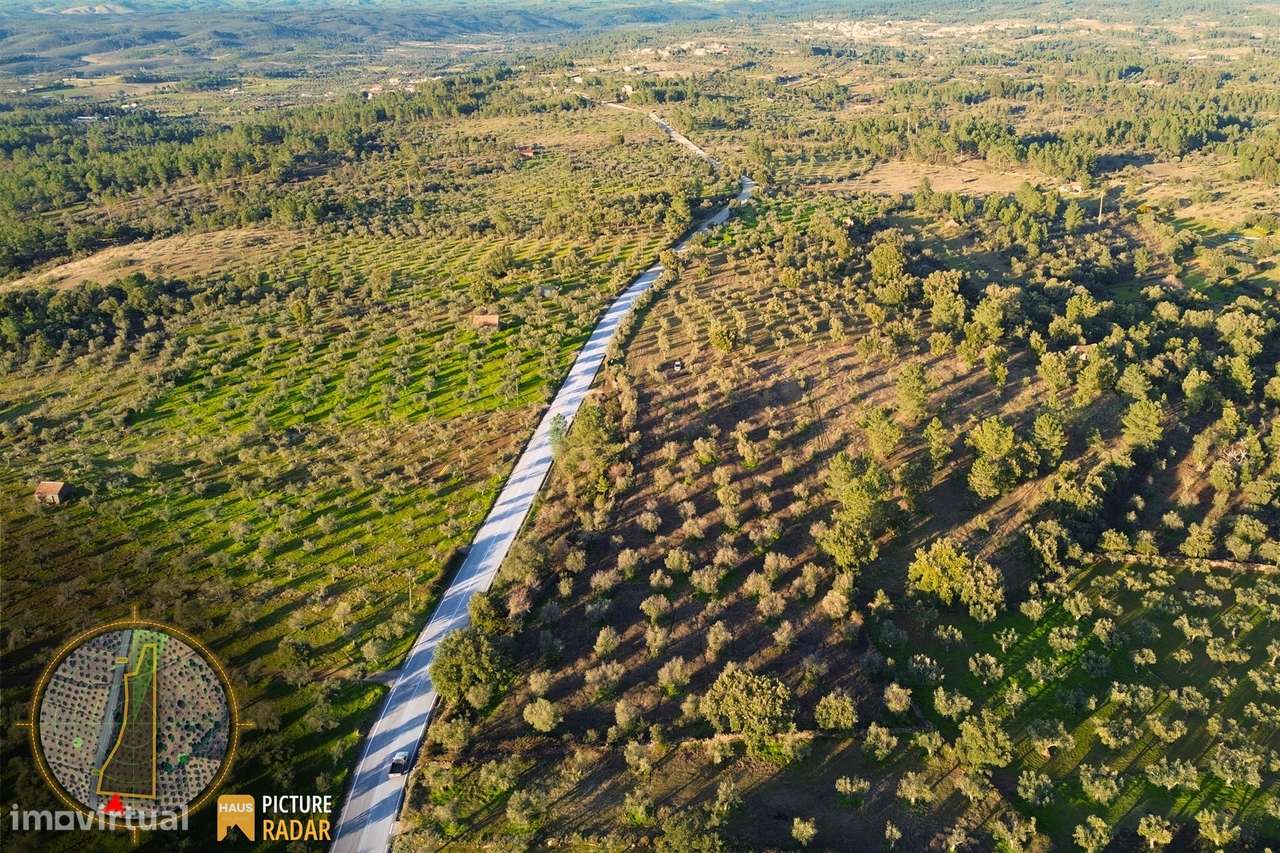 Terreno Plano 6.700m² c/ Vistas Panorâmicas – Salgueiro do Campo-25