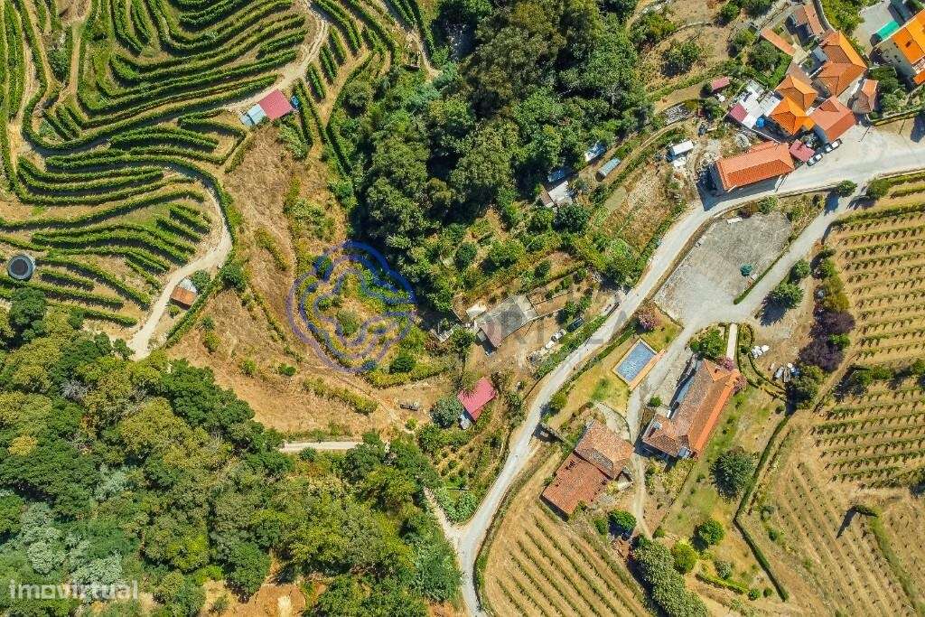 Quintinha de 5750m2 com construção existente e Projeto de Arquitetura - Grande imagem: 5/60