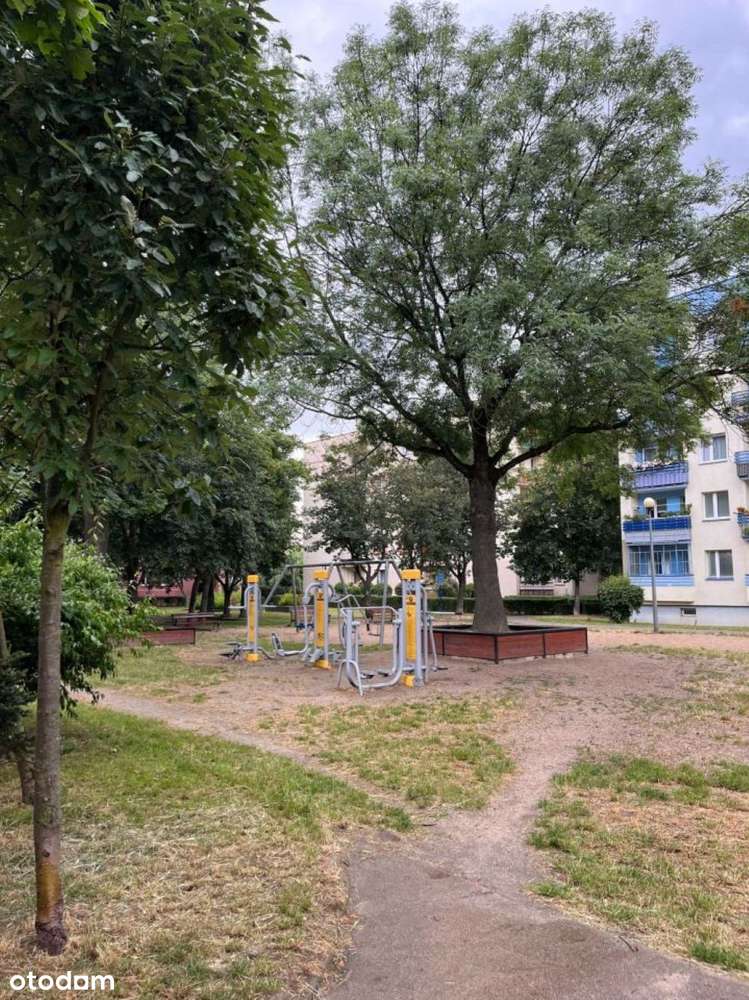 Duże 2 pokoje na I piętrze w niski bloku - ZOSINEK ,ok. POLITECHNIKI-6