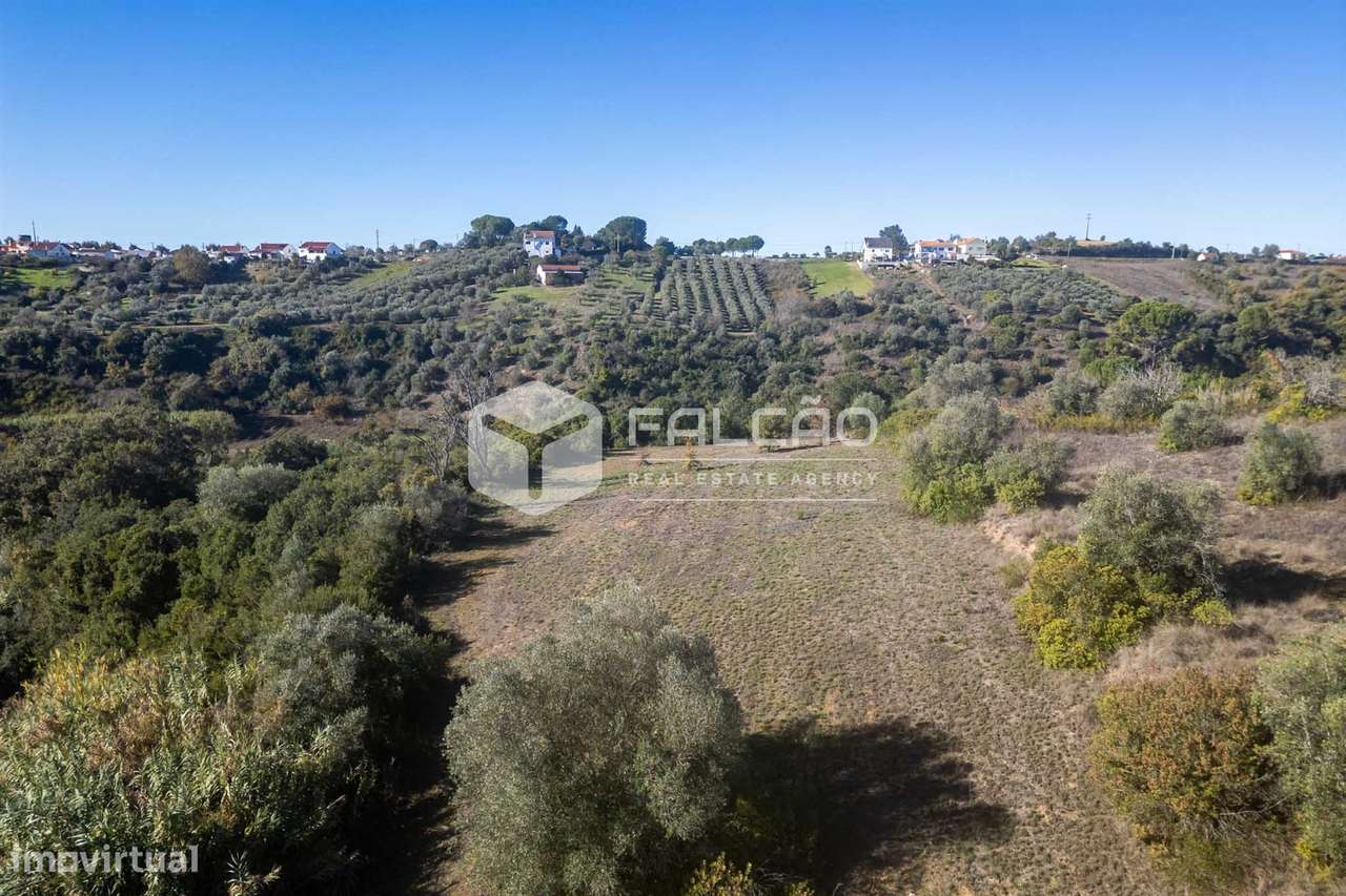 Terreno Para Construção  Venda em Moçarria,Santarém-10