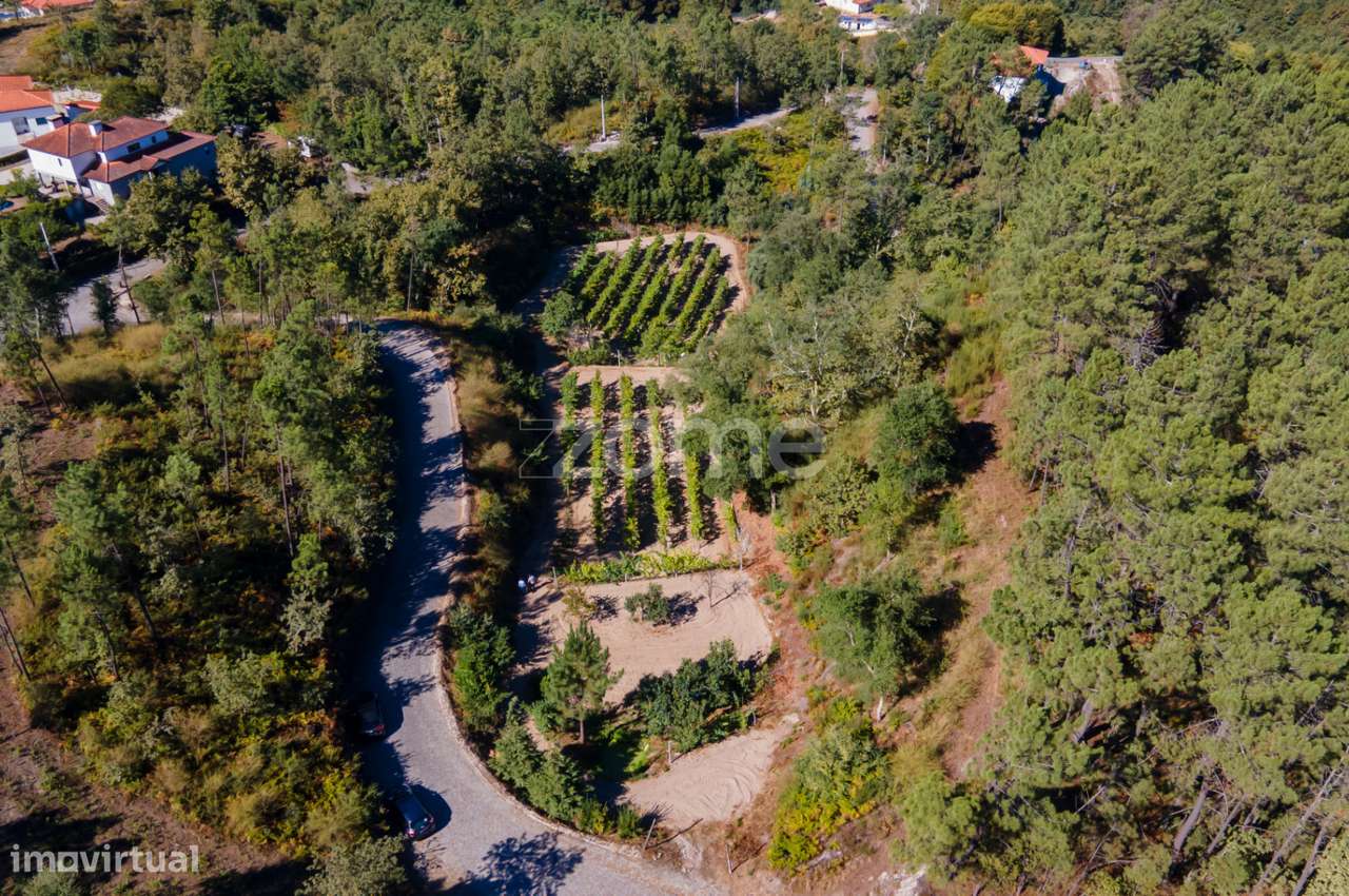 Terreno Rústico em Gatão, Amarante. - Grande imagem: 2/27