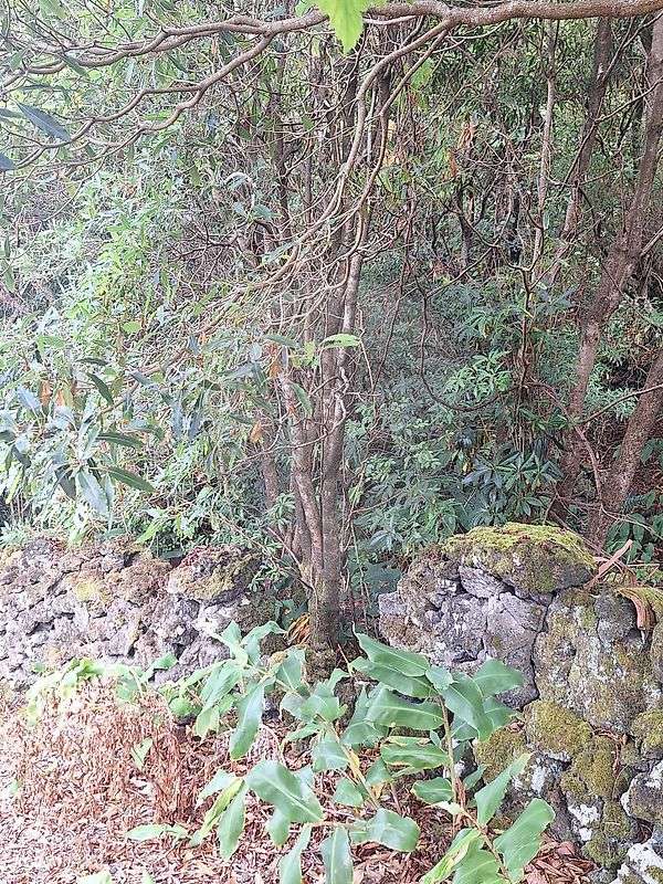 Terreno  para venda - Grande imagem: 5/5