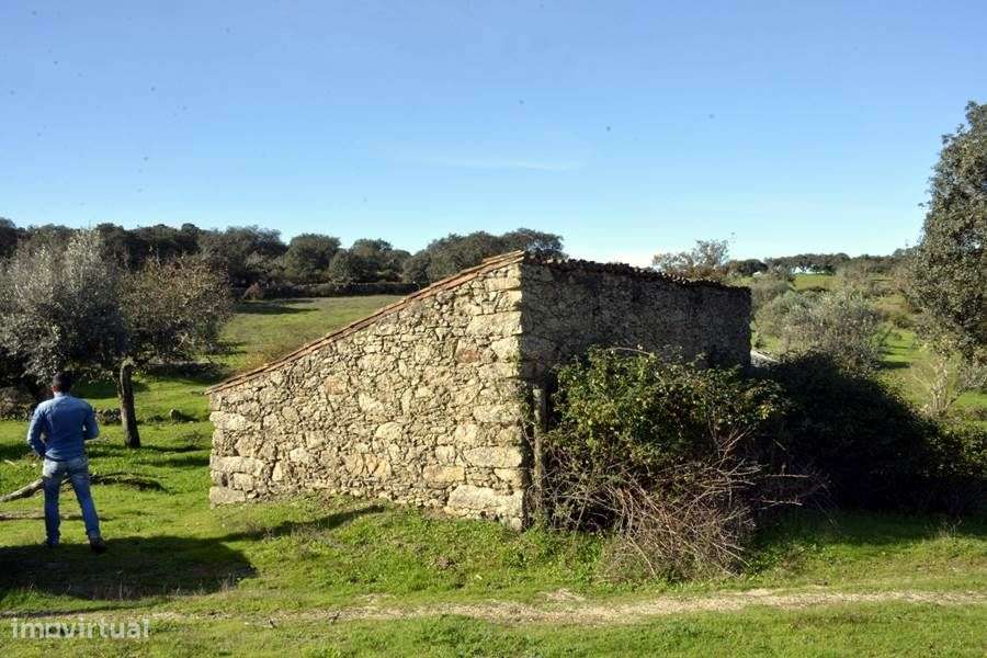 Herdade do Monte da Pedra.-27