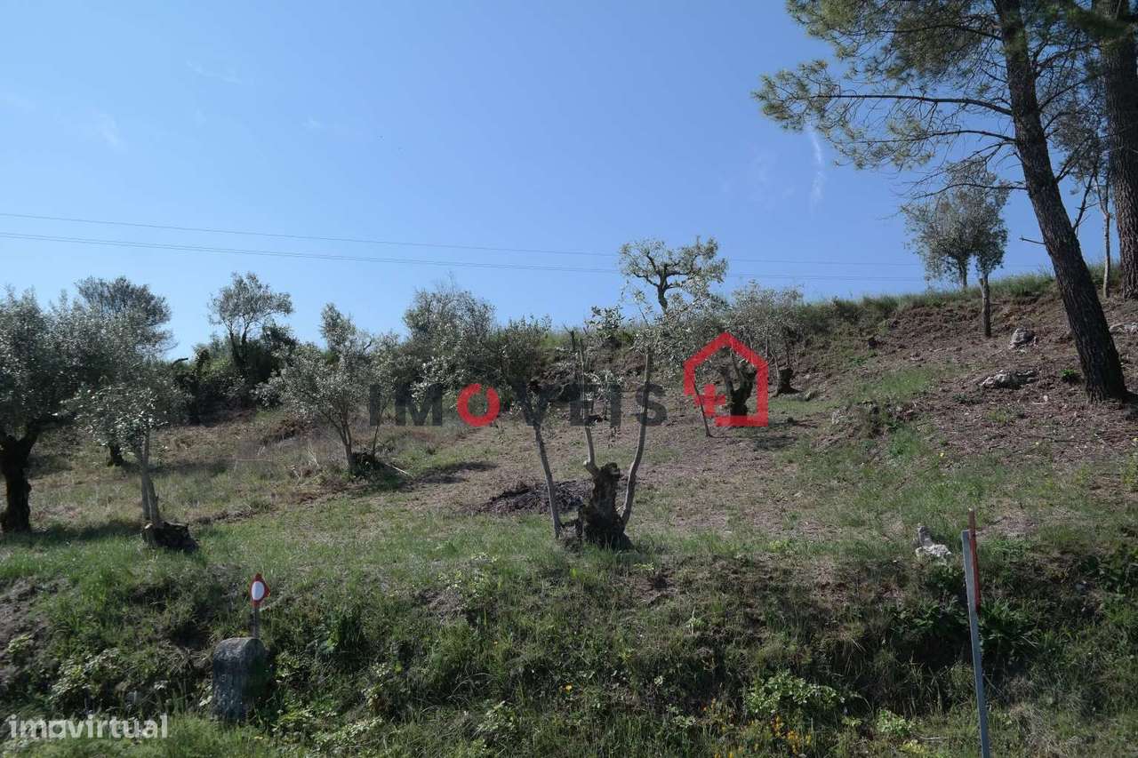 Terreno - Grande imagem: 2/3