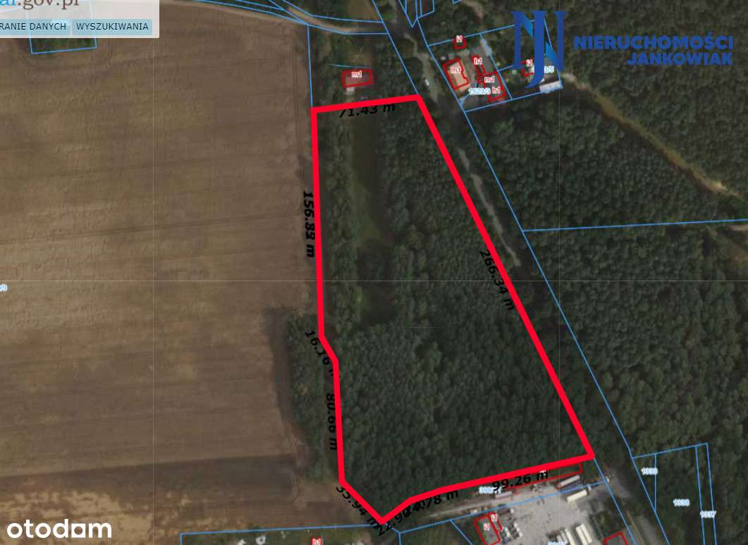 3,3 Hektara Na Sprzedaż Z Wz -Las I Rola, Jabłonna - Pełny obrazek: 4/4