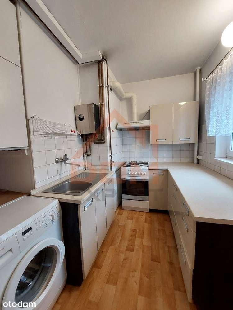 3 pokojowe! Centrum!I Gotowiec inwestycyjny! - Pełny obrazek: 5/9