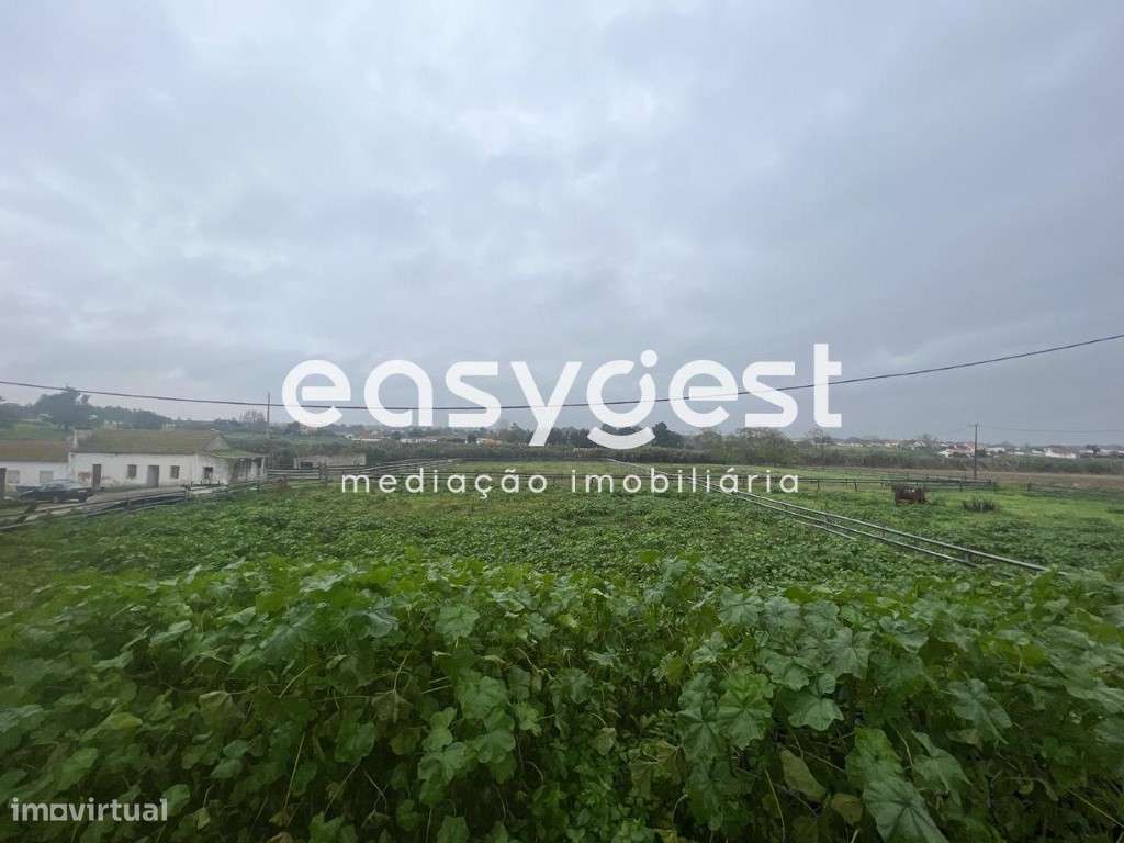 Quinta com 15ha com casa térrea, perto do centro do Pinhal Novo - Grande imagem: 4/25