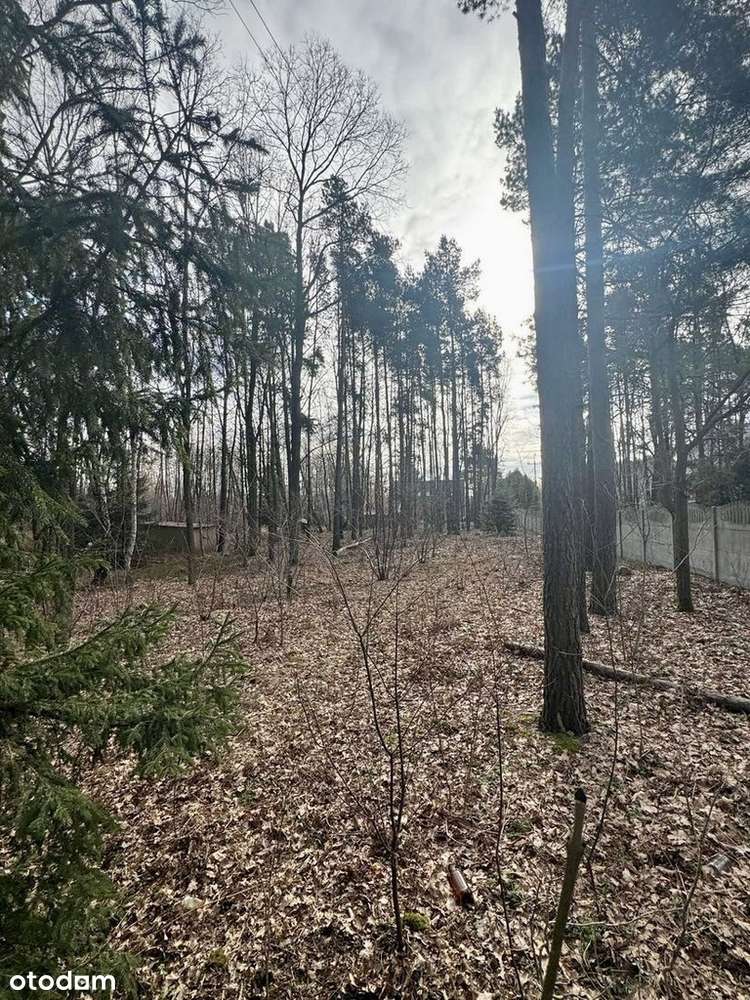 Działka budowlana | las i staw | okazja - Pełny obrazek: 4/4
