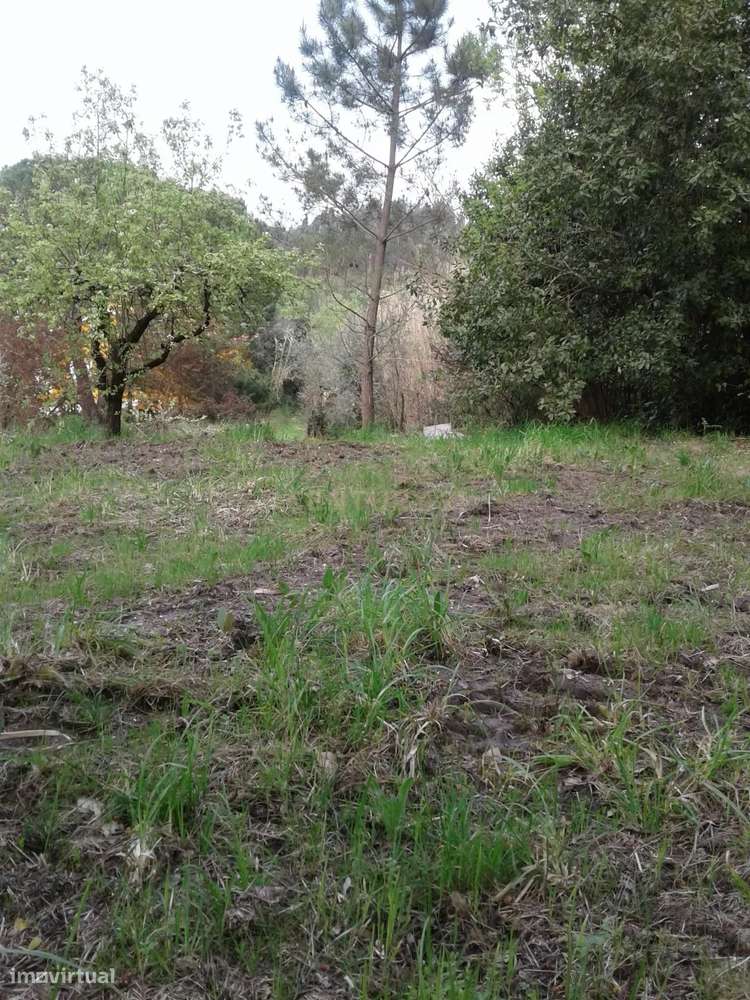 Terreno para Construção - Grande imagem: 5/10