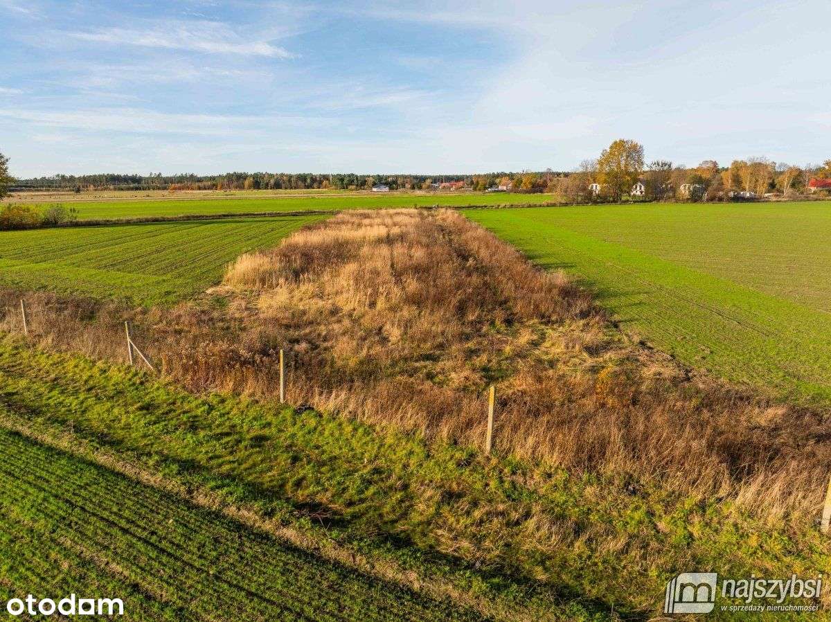 Glewice - atrakcyjna działka 2777m2 - Pełny obrazek: 3/8