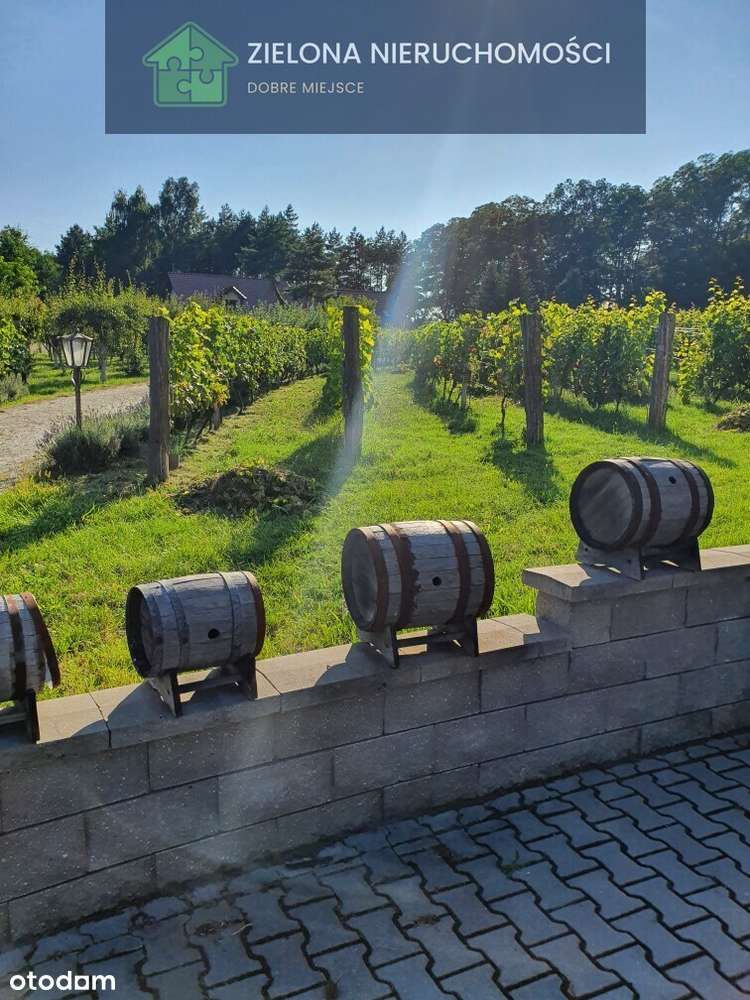 Posiadłość z winnicą w Zielonej Górze-3
