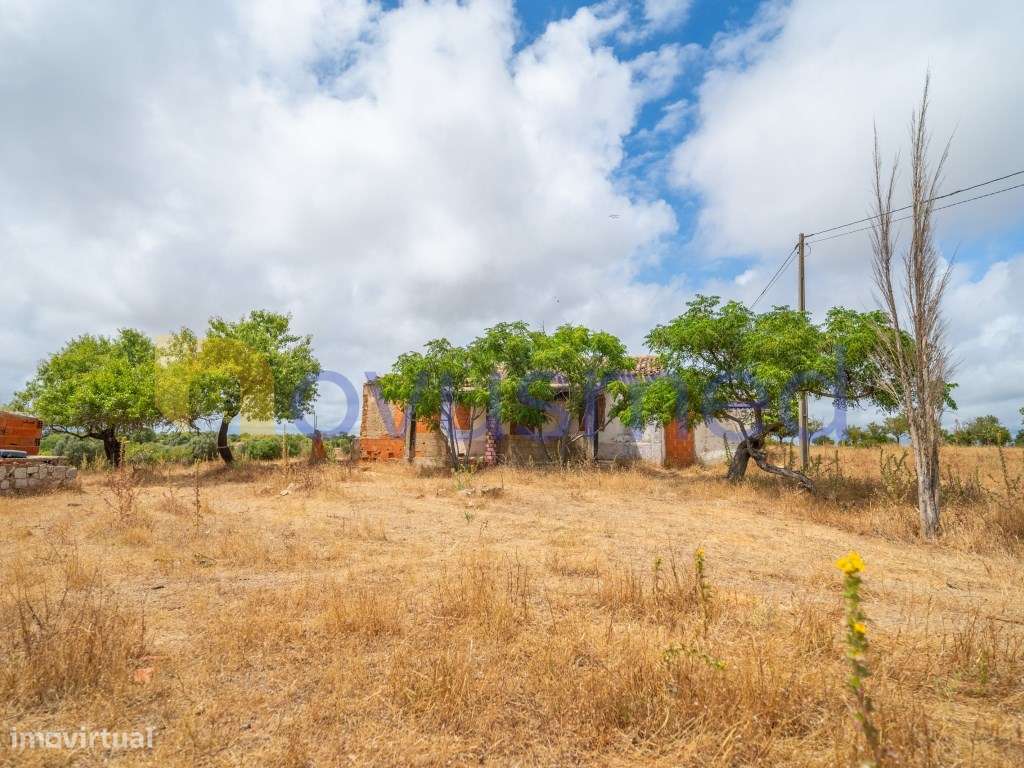 Quinta de 2,1 ha com Potencial para Turismo Rural- Guia Valverde-10