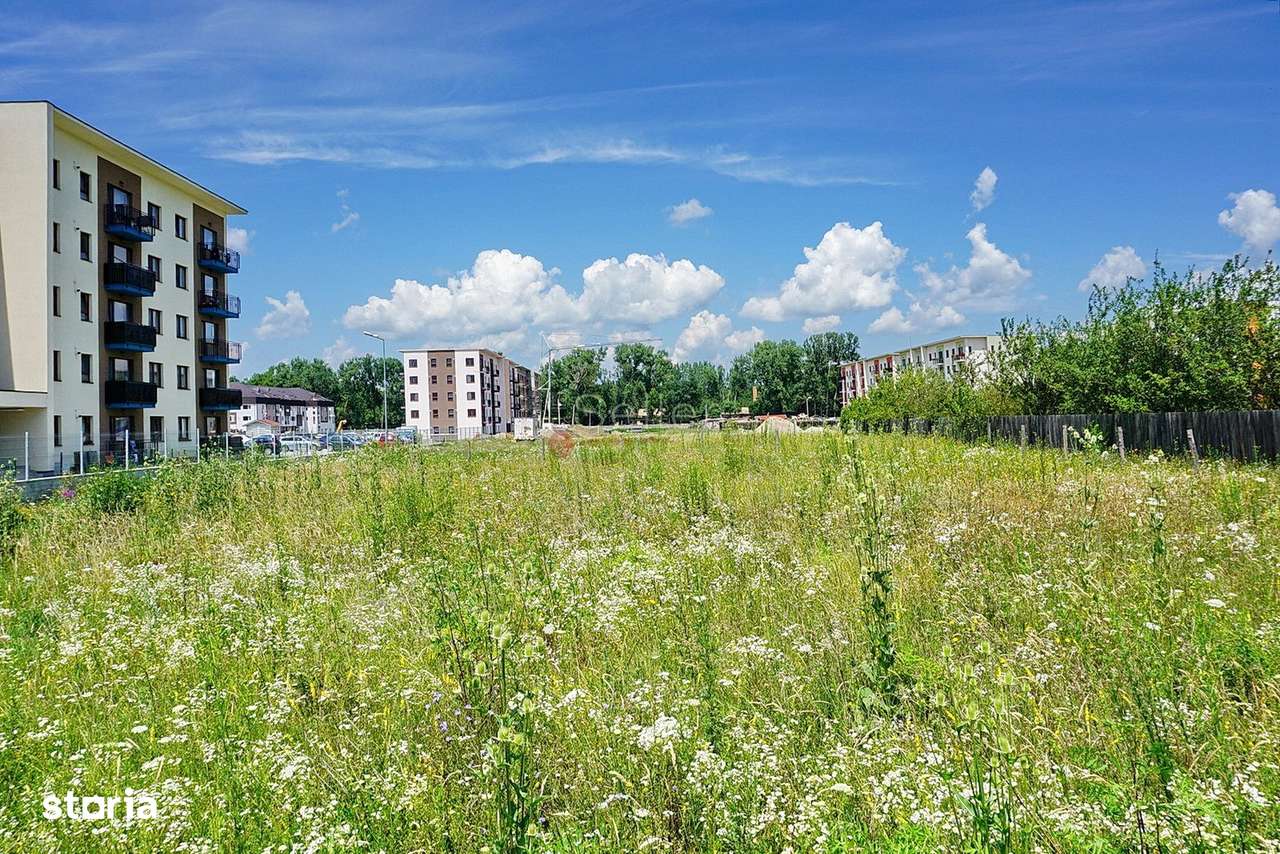 Teren Intravilan - Pretabil Investitie - Dezvoltare Rezidentiala - Imagine principală: 3/6