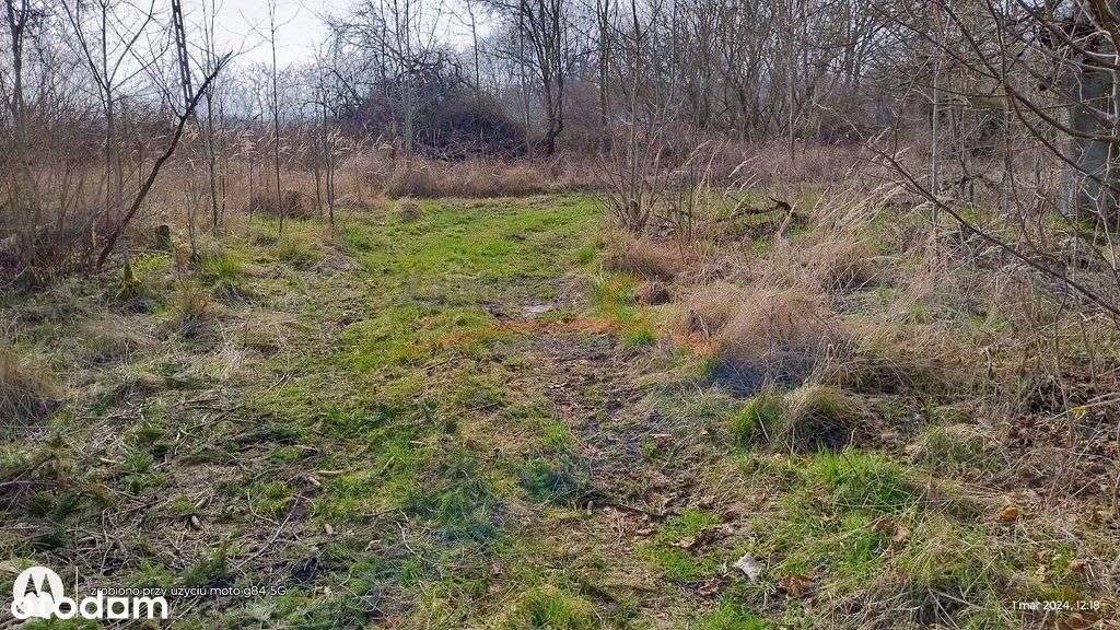 Działka, 4 300 m², Dębina - Pełny obrazek: 4/9