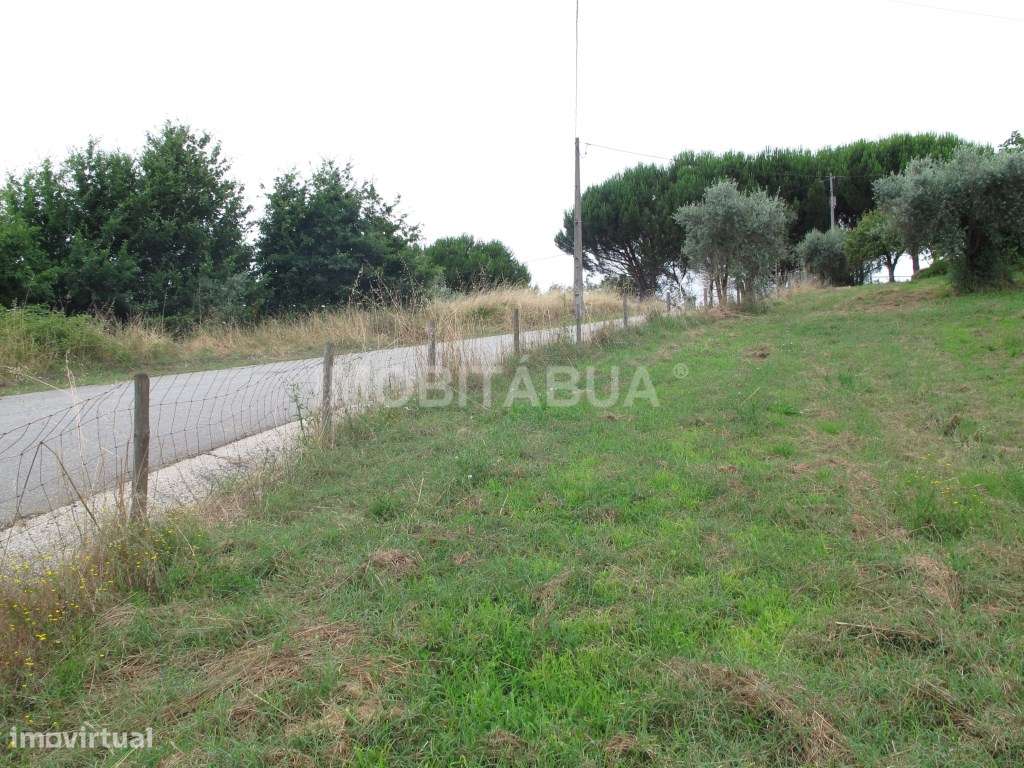 Moradia para recuperar-22