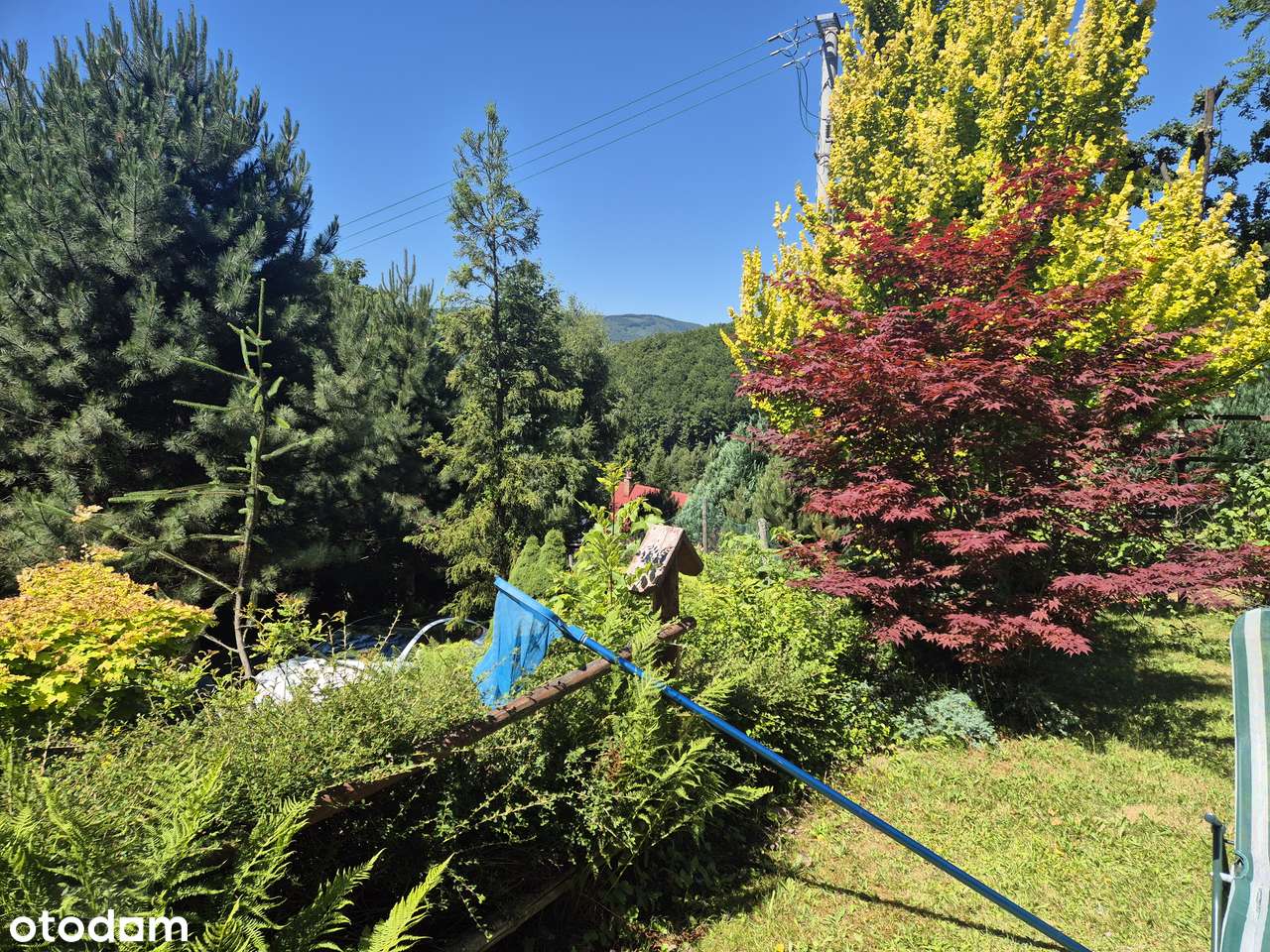 domek w górach...-10