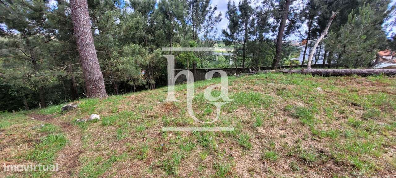 Terreno em Porto-10
