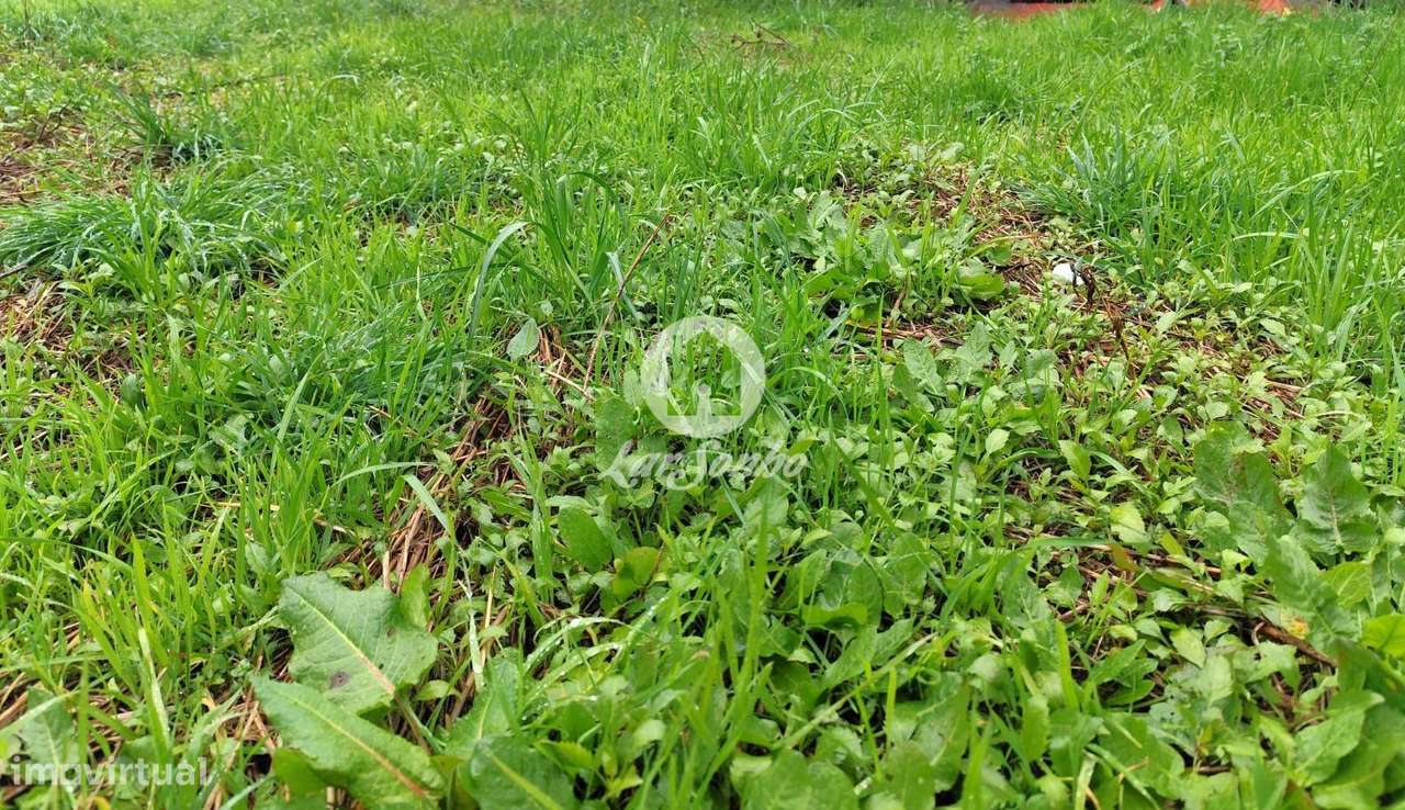 Terreno Urbano em Barcelos - Grande imagem: 4/19