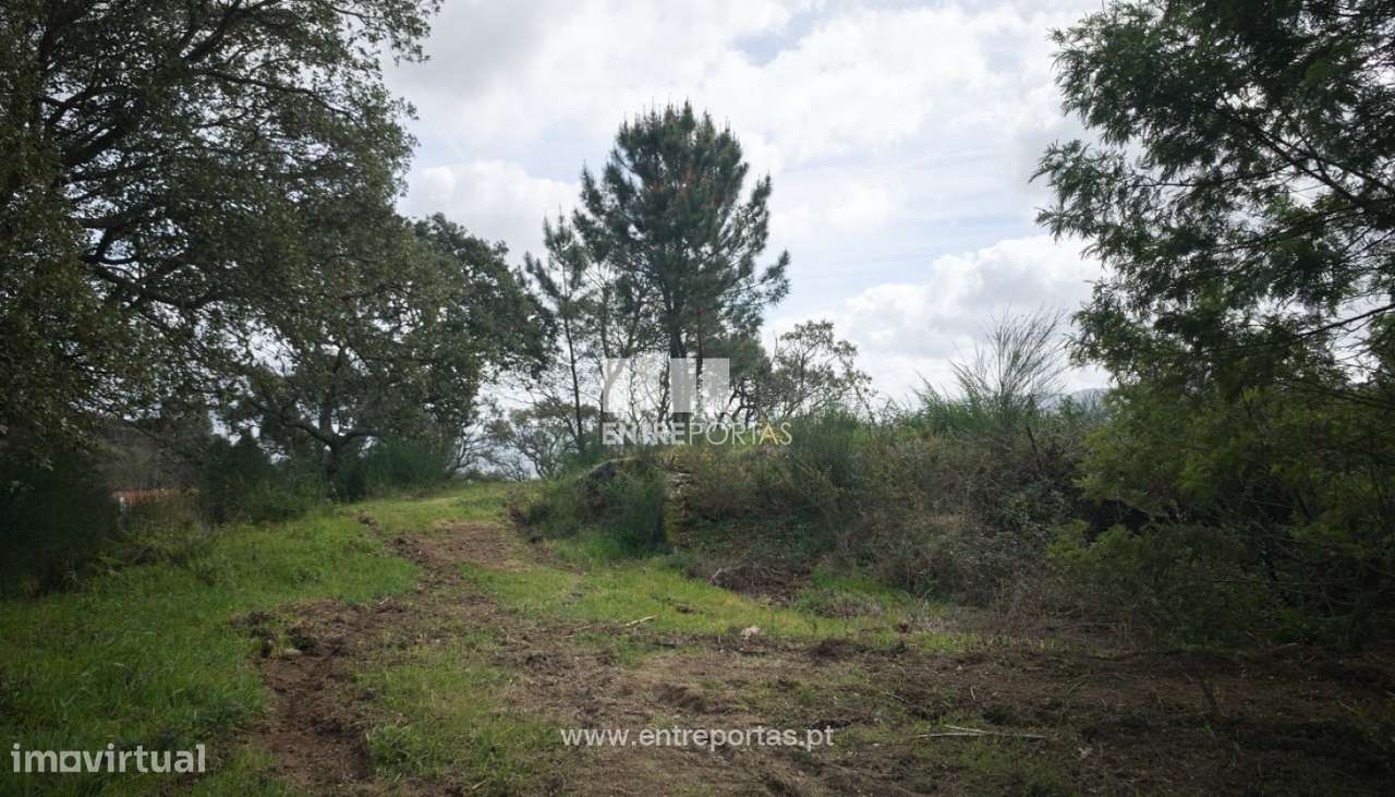 Venda de Terreno de construção, Serreleis, Viana do Castelo - Grande imagem: 4/25