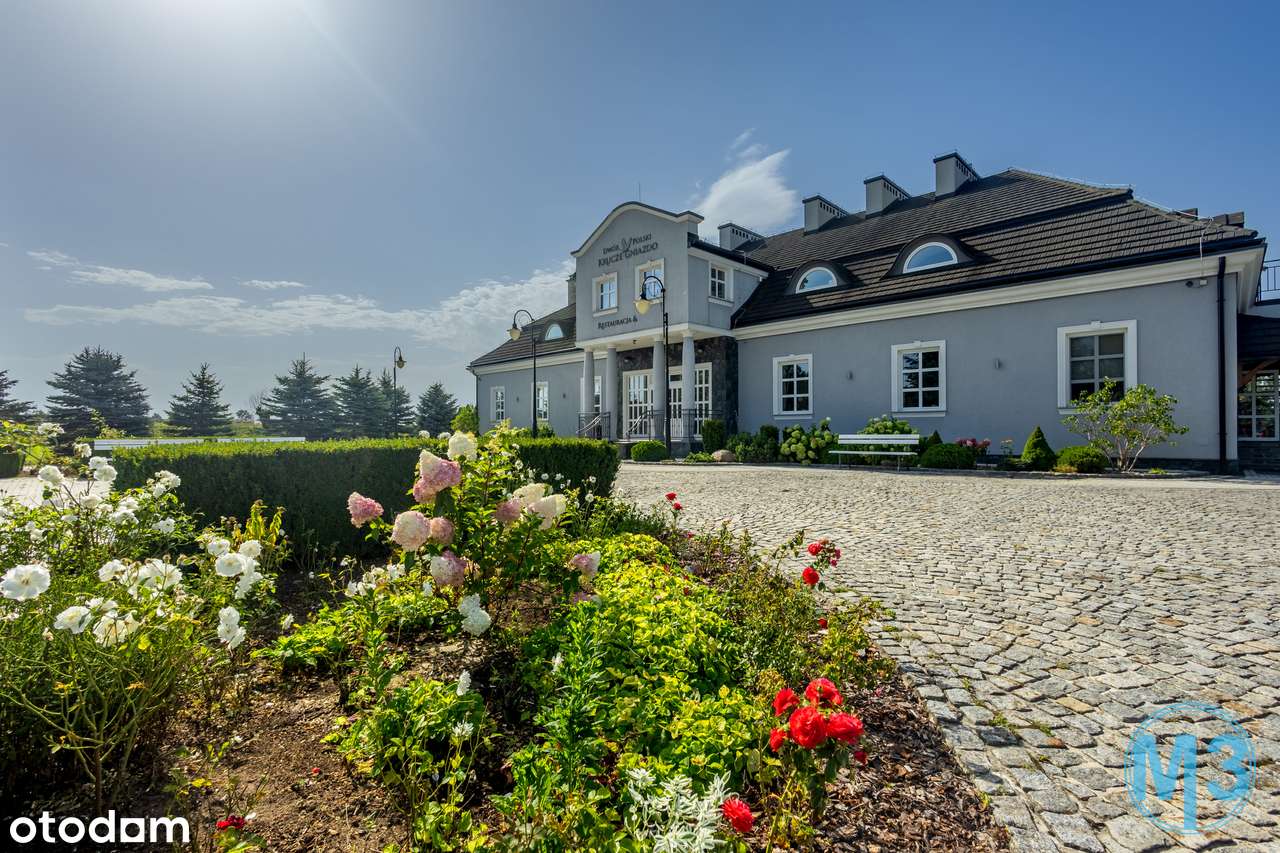 Wyjątkowy Dwór Krucze Gniazdo – inwestycja z potencjałem - Pełny obrazek: 2/20