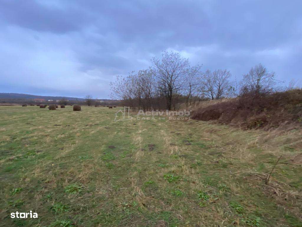 Caransebes, Teren Drept 5087 Mp. Ideal pt Casa 20 Euro Mp. Racovita - Imagine principală: 4/12