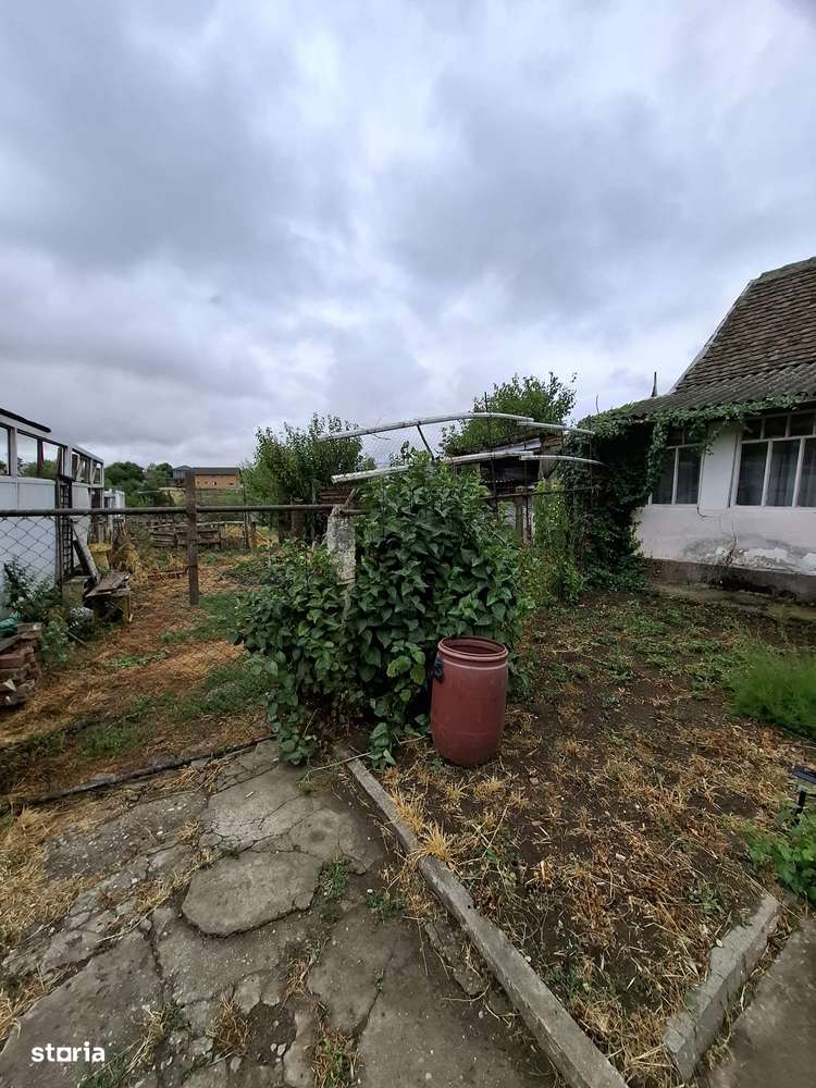 Giarmata – Teren Constructii – Vatra Satului - Imagine principală: 4/6