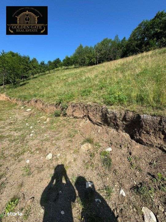 COMISION 0 | Breaza de Sus- Teren Liber 9321mp Oportunitate Investitie - Imagine principală: 2/4