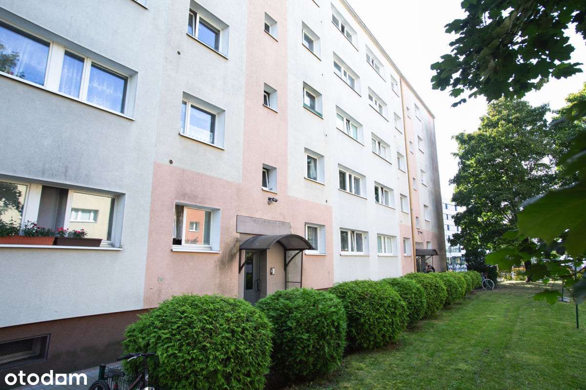 Mieszkanie blisko Lasku Marcelińskiego Grunwald-13