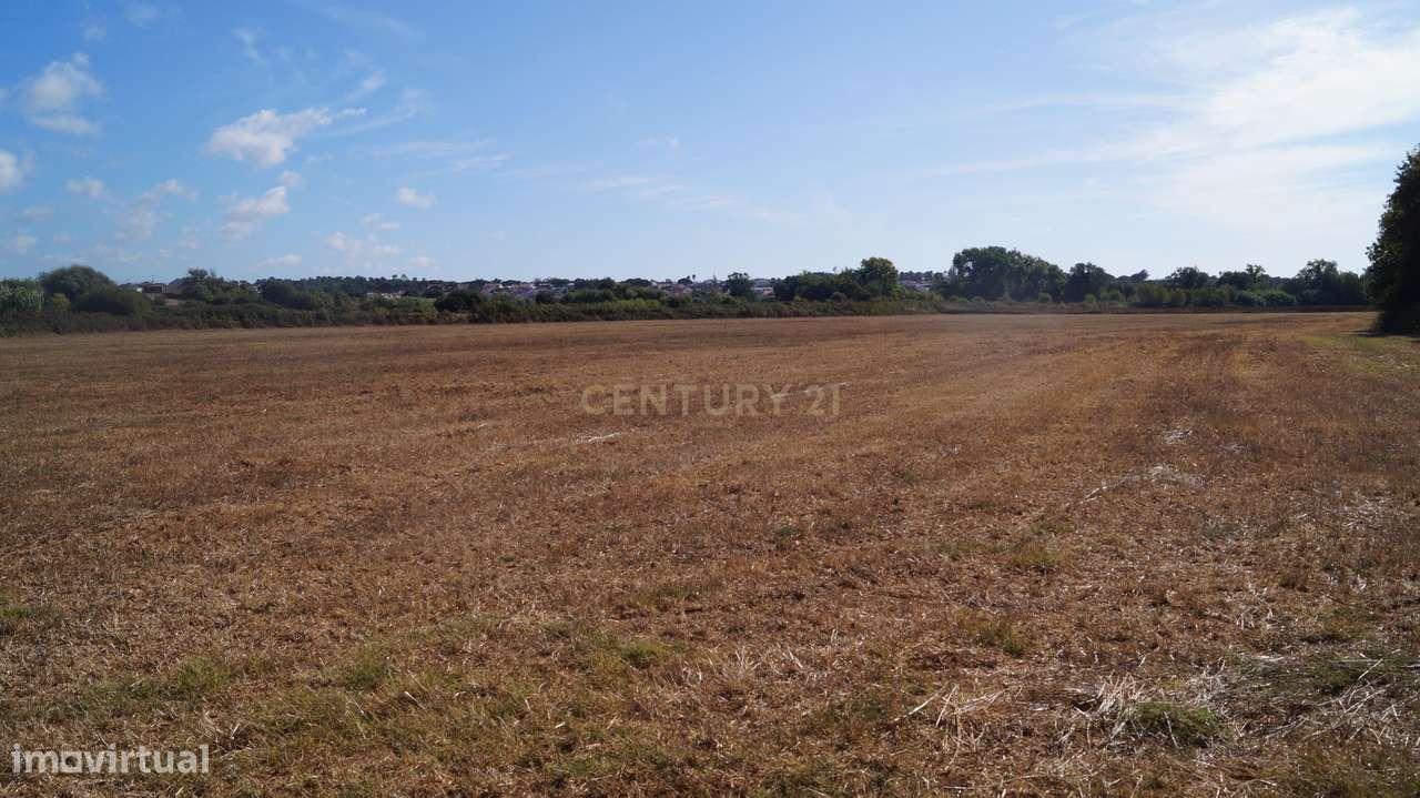 Terreno Agrícola à Venda – Brescos - Grande imagem: 5/30