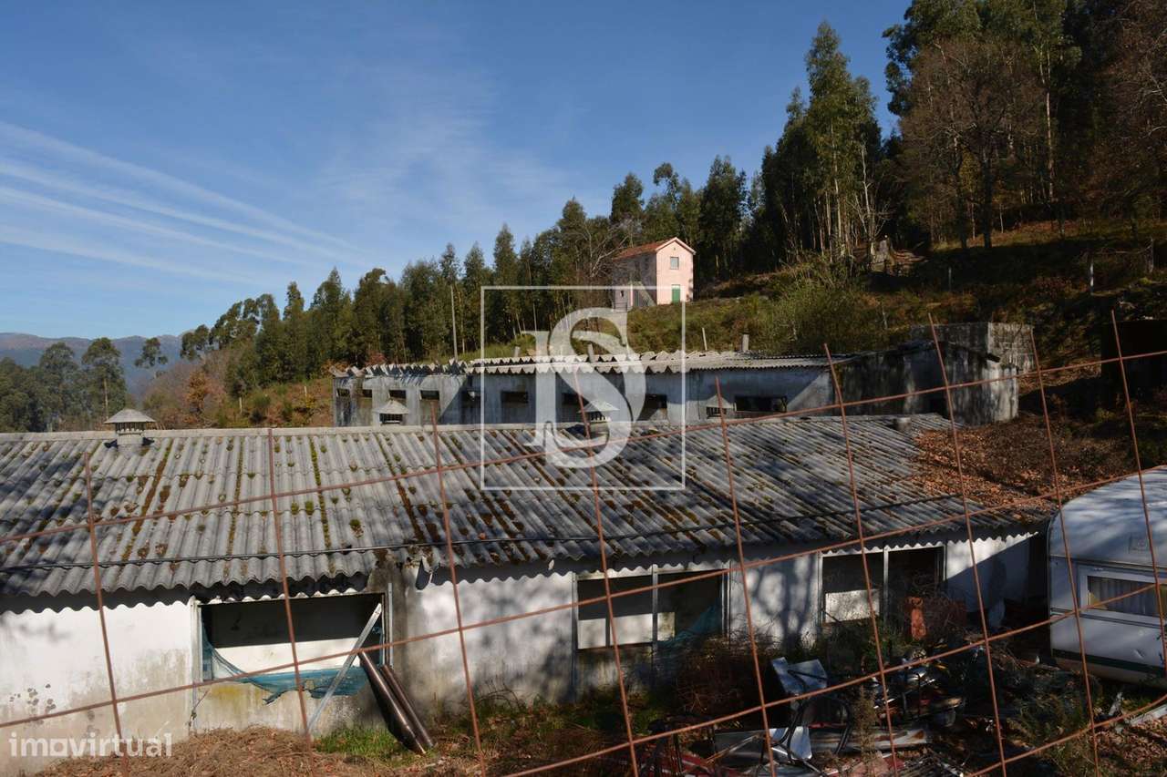 Terreno  Venda em Caniçada e Soengas,Vieira do Minho - Grande imagem: 4/12